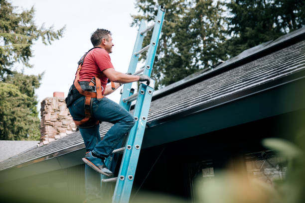 Best Roof Maintenance and Cleaning  in Lford, MI